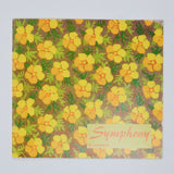 Symphony Vintage Cross Stitch Booklet