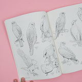 Dover Electronic Clip Art Bird Illustrations CD-ROM & Book