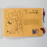 Tintes Naturales Para Lana De Oveja by Hugo Zumbuhl Spanish Language Natural Dyes Booklet