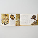 Arms + Armour Book
