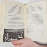 The Complete Book of Dried Arrangements