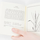 North American Dye Plants Booklet