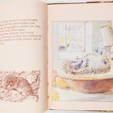The Hedgehog Feast Book