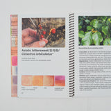 Feral Hues: A Guide to Painting with Weeds Book