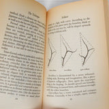 Zen in the Art of Flower Arrangement Book