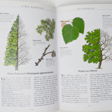 The Illustrated Book of Trees