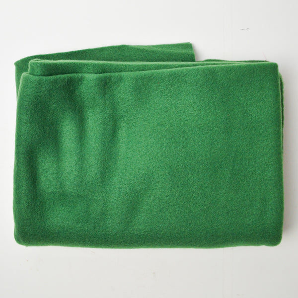 Green Squishy Fleece Fabric - 36" x 48"