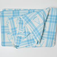 Blue + White Plaid with Strawberry Jacquard Crisp Woven Fabric - 46" x 72"