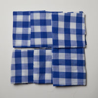 Blue Gingham Lightweight Woven Fabric Bundle Default Title