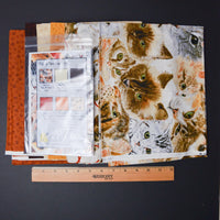 Kitties, Kitties Everywhere Tiffany Hayes Quilting KIt