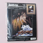 Janlynn Northern Lights Counted Cross Stitch Kit