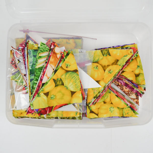 Rainbow Vegetable Print Quilting Fabric Cut Pieces + Assorted Flying Geese + Zig Zag Quilt Patterns