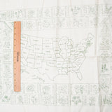 Vintage 1970s Paragon State Flowers Map Sampler Embroidery Kit