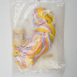 Kappie Originals Flower Cart Plastic Canvas Needlepoint Kit