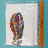 Janlynn America the Beautiful South Dakota Counted Cross Stitch Kit