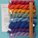 Shelridge Farm Rainbow Mittens Knit Kit