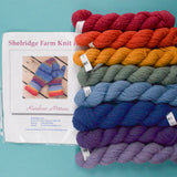 Shelridge Farm Rainbow Mittens Knit Kit