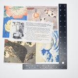 Blue + White Art Prints on Linen Panels - Set of 7