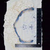 Lace Remnants