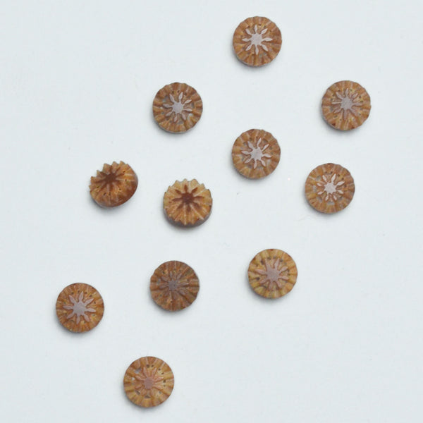 Brown Carved Ridge Shank Buttons - Set of 11
