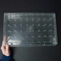 Clear Thread Storage Case