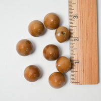 Smooth Cone Buttons - Set of 8