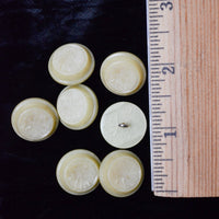 Vegetable Ivory Buttons - Set of 7