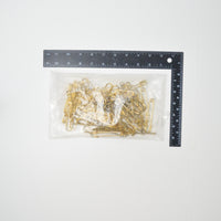 Large Brass Safety Pins