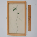 Vine Embroidery Project with Frame - Partially Completed