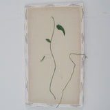 Vine Embroidery Project with Frame - Partially Completed