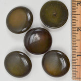 Olive Green Round Shank Buttons - Set of 5