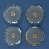 Clear Glass + Silver Accent Shank Buttons - Set of 4