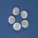 White Glass + Gold Design Flat Shank Buttons - Set of 5