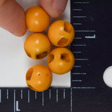 Yellow Vintage Plastic Spherical Buttons - Set of 5