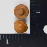 Wooden Dome Buttons - Set of 2