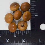 Round Wooden Buttons - Set of 7