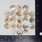 Round Shell Buttons - Set of 21