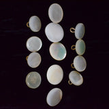 Rounded Shell Buttons - Set of 13