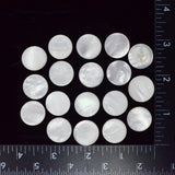 White Shell Self Shank Buttons - Set of 18