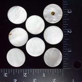 White Shell Metal Shank Buttons - Set of 8
