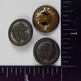 Dandelion Round Metal Shank Buttons - Set of 3