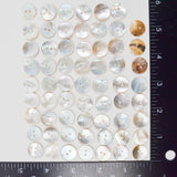 White Round Two-Hole Shell Buttons - Set of 62