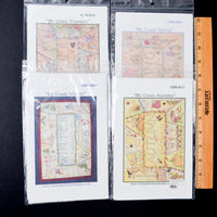 Chickadee Hollow My Crazy Seasons Pre-Printed Fabric Panels for Embroidery - Set of 4