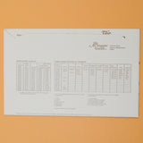 The Artisans Guild 0636 Iron-On Floral Embroidery Pattern - 15" x 20"
