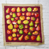 Kaffe Fassett Ehrman Victorian Fruits Needlepoint Panel