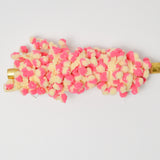 Pink + Yellow Pom Pom Trim