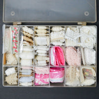 Assorted Trim in Clear Compartment Case