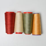 Autumnal Colored Thread - 4 Spools