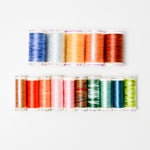 Rainbow Variegated Mettler Thread Bundle - 15 Spools