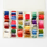 Embroidery Thread in Clear Compartment Case